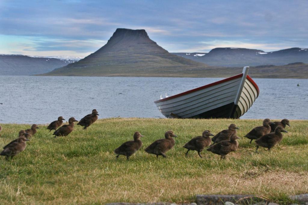 Hotel Isafjordur - Horn Eksteriør bilde