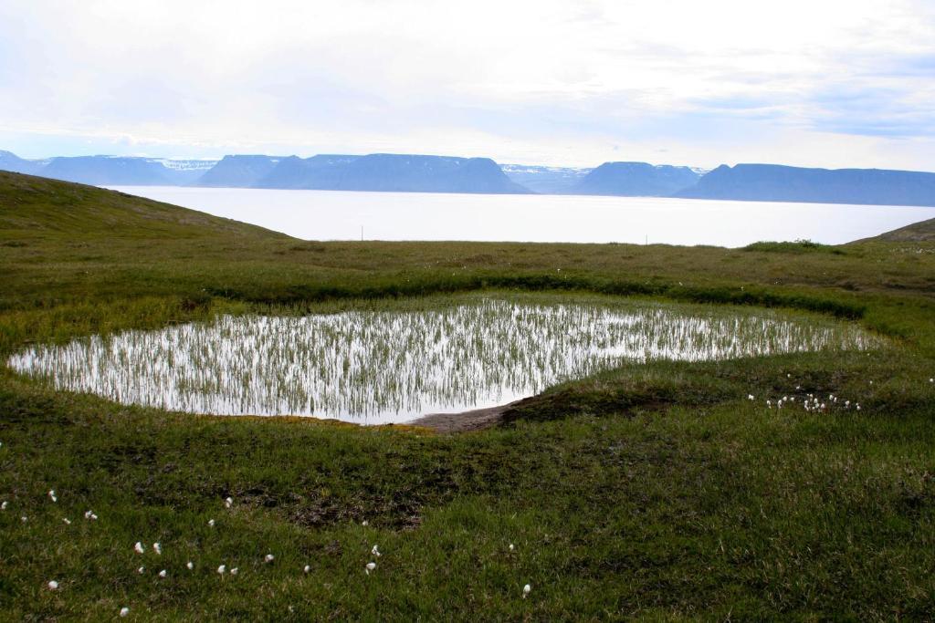 Hotel Isafjordur - Horn Eksteriør bilde